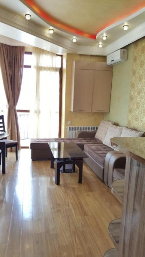 apartment in the center